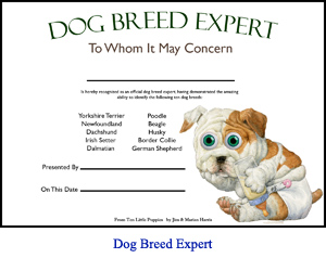 ‘Dog Breed Expert’ Award Certificate for children who learn the dog breeds in the picture book Ten Little Puppies.  Art of bulldog puppy in diapers with spaces for child’s and parent’s or teacher’s names.